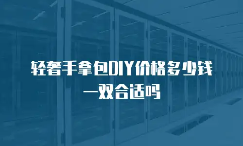 轻奢手拿包DIY价格多少钱一双合适吗