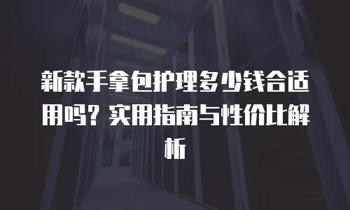 新款手拿包护理多少钱合适用吗？实用指南与性价比解析