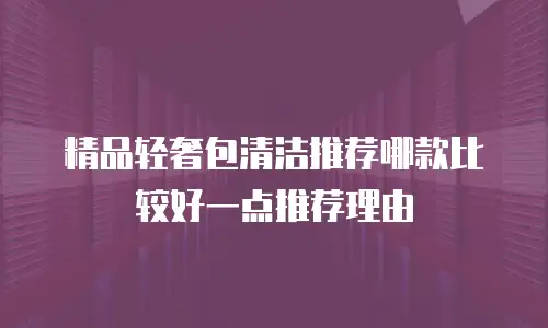 精品轻奢包清洁推荐哪款比较好一点推荐理由
