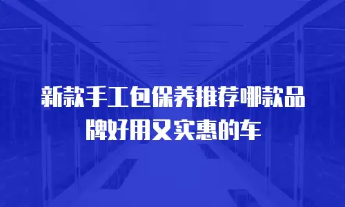 新款手工包保养推荐哪款品牌好用又实惠的车