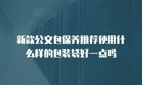 新款公文包保养推荐使用什么样的包装袋好一点吗