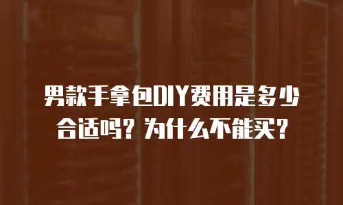 男款手拿包DIY费用是多少合适吗？为什么不能买？