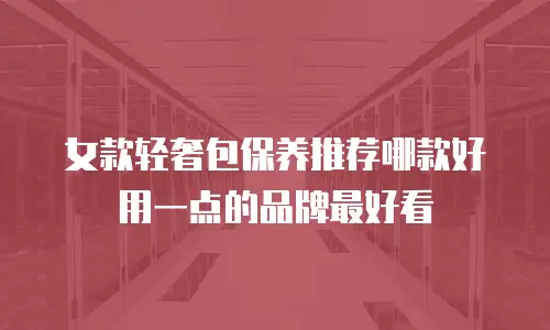女款轻奢包保养推荐哪款好用一点的品牌最好看