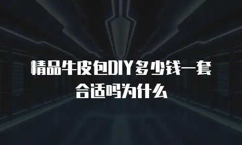 精品牛皮包DIY多少钱一套合适吗为什么