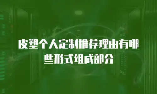 皮塑个人定制推荐理由有哪些形式组成部分