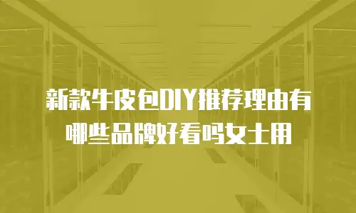 新款牛皮包DIY推荐理由有哪些品牌好看吗女士用