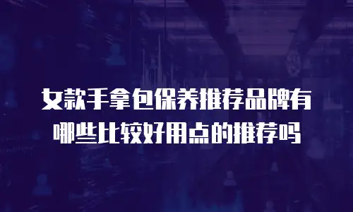 女款手拿包保养推荐品牌有哪些比较好用点的推荐吗