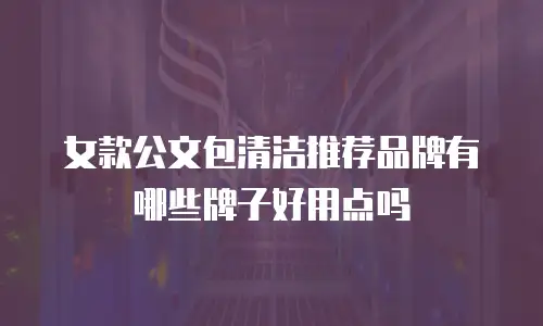 女款公文包清洁推荐品牌有哪些牌子好用点吗