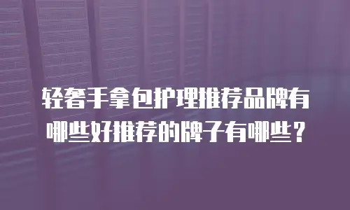 轻奢手拿包护理推荐品牌有哪些好推荐的牌子有哪些？