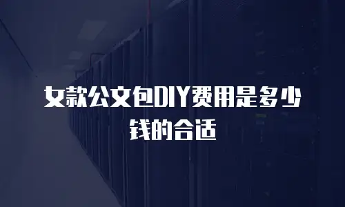 女款公文包DIY费用是多少钱的合适