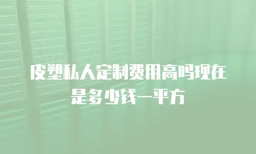 皮塑私人定制费用高吗现在是多少钱一平方