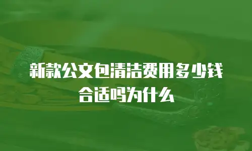 新款公文包清洁费用多少钱合适吗为什么