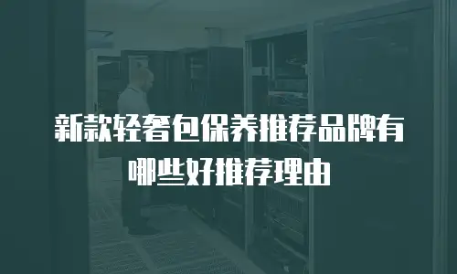 新款轻奢包保养推荐品牌有哪些好推荐理由