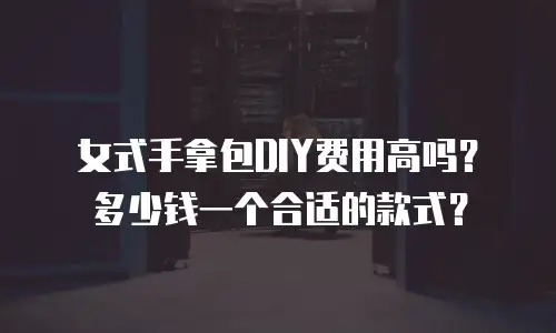 女式手拿包DIY费用高吗？多少钱一个合适的款式？