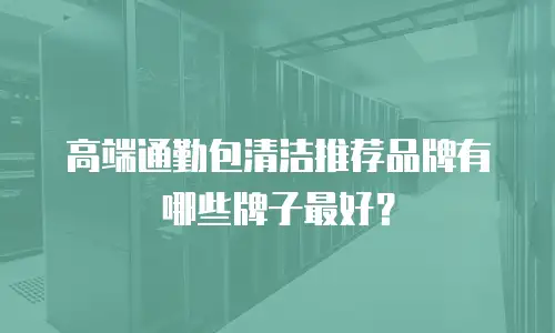 高端通勤包清洁推荐品牌有哪些牌子最好？