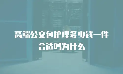 高端公文包护理多少钱一件合适吗为什么