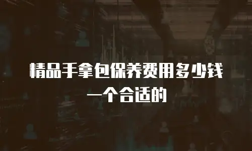 精品手拿包保养费用多少钱一个合适的