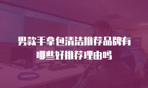 男款手拿包清洁推荐品牌有哪些好推荐理由吗