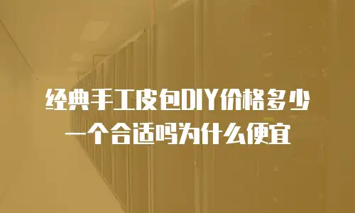 经典手工皮包DIY价格多少一个合适吗为什么便宜