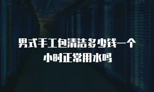 男式手工包清洁多少钱一个小时正常用水吗