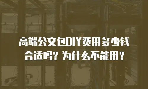 高端公文包DIY费用多少钱合适吗？为什么不能用？