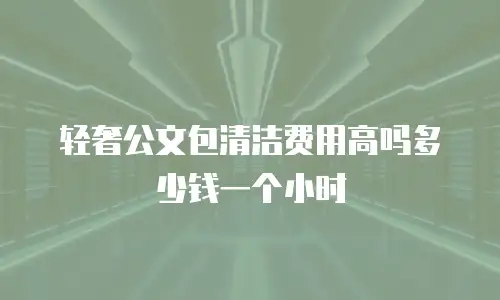 轻奢公文包清洁费用高吗多少钱一个小时