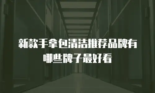 新款手拿包清洁推荐品牌有哪些牌子最好看