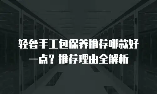 轻奢手工包保养推荐哪款好一点？推荐理由全解析