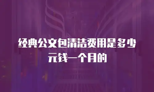 经典公文包清洁费用是多少元钱一个月的