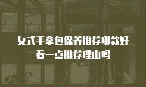 女式手拿包保养推荐哪款好看一点推荐理由吗