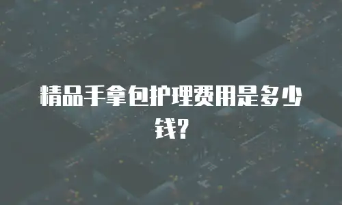 精品手拿包护理费用是多少钱？