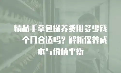 精品手拿包保养费用多少钱一个月合适吗？解析保养成本与价值平衡