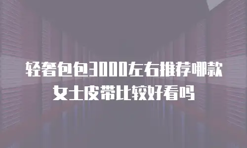 轻奢包包3000左右推荐哪款女士皮带比较好看吗