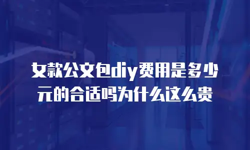 女款公文包diy费用是多少元的合适吗为什么这么贵
