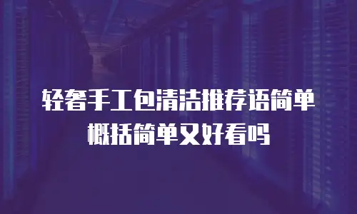 轻奢手工包清洁推荐语简单概括简单又好看吗
