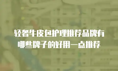 轻奢牛皮包护理推荐品牌有哪些牌子的好用一点推荐