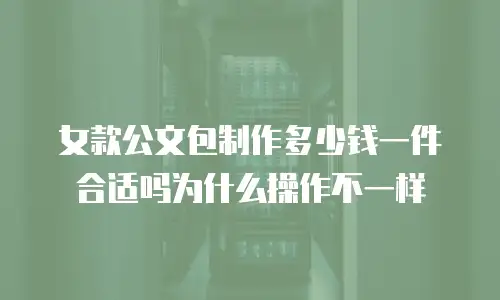 女款公文包制作多少钱一件合适吗为什么操作不一样