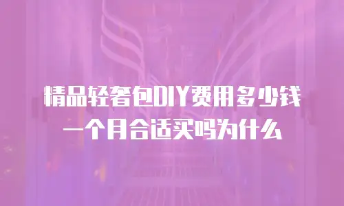 精品轻奢包DIY费用多少钱一个月合适买吗为什么
