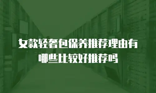 女款轻奢包保养推荐理由有哪些比较好推荐吗