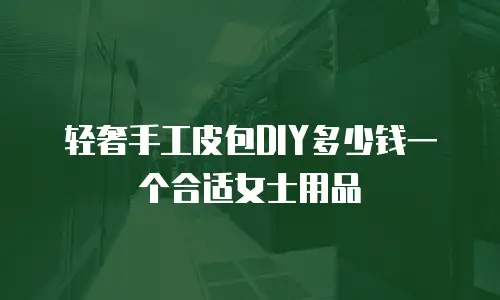 轻奢手工皮包DIY多少钱一个合适女士用品