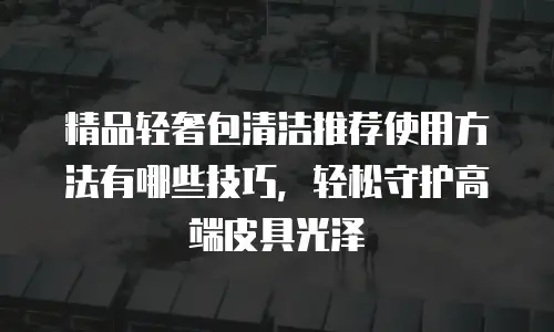 精品轻奢包清洁推荐使用方法有哪些技巧，轻松守护高端皮具光泽