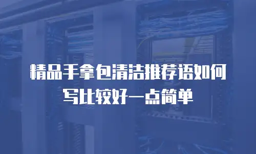 精品手拿包清洁推荐语如何写比较好一点简单