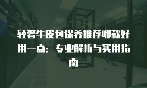 轻奢牛皮包保养推荐哪款好用一点：专业解析与实用指南