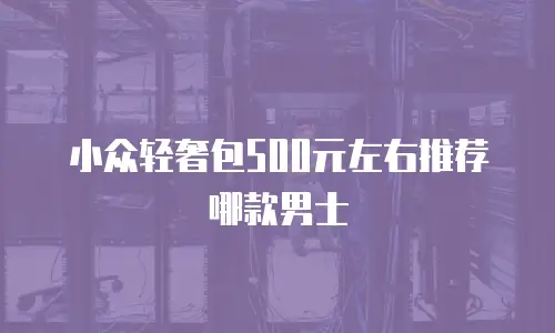 小众轻奢包500元左右推荐哪款男士