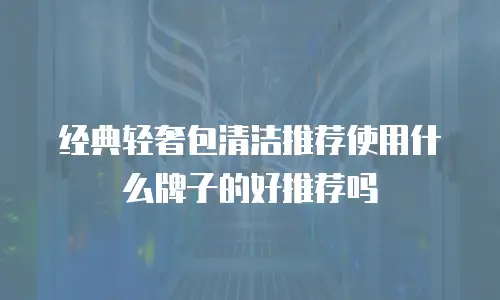 经典轻奢包清洁推荐使用什么牌子的好推荐吗