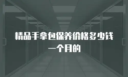 精品手拿包保养价格多少钱一个月的