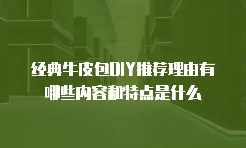 经典牛皮包DIY推荐理由有哪些内容和特点是什么