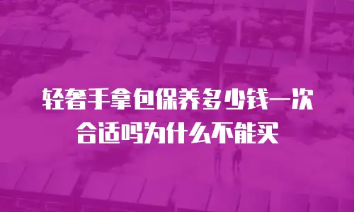 轻奢手拿包保养多少钱一次合适吗为什么不能买