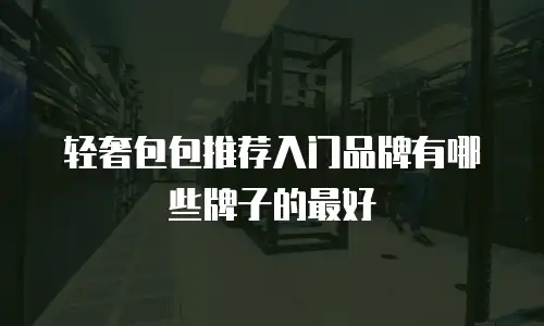 轻奢包包推荐入门品牌有哪些牌子的最好