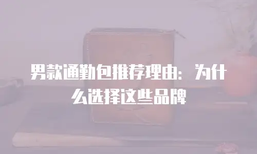 男款通勤包推荐理由：为什么选择这些品牌